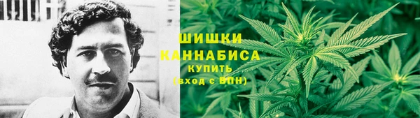 мдпв Кукмор