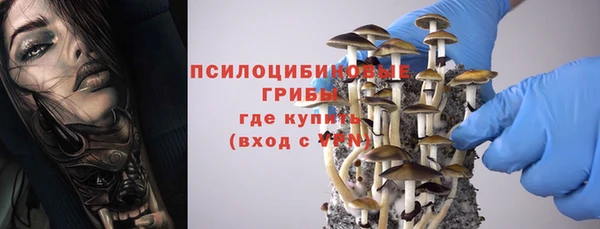 мдпв Кукмор
