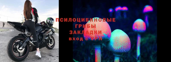 прущие крисы Кулебаки