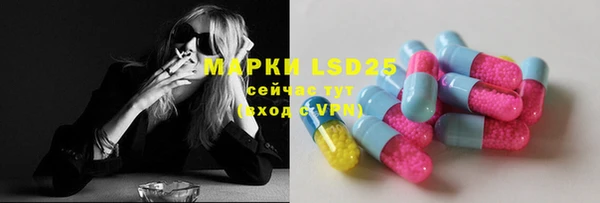мдпв Кукмор