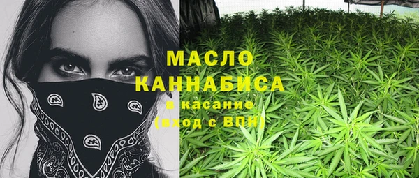прущие крисы Кулебаки