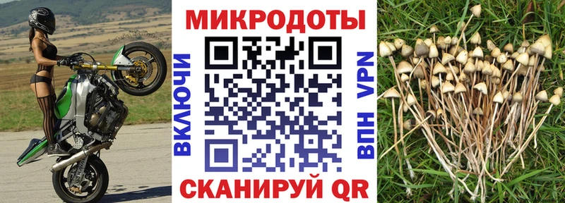 кракен маркетплейс  Семёнов  Галлюциногенные грибы GOLDEN TEACHER  где купить наркоту 